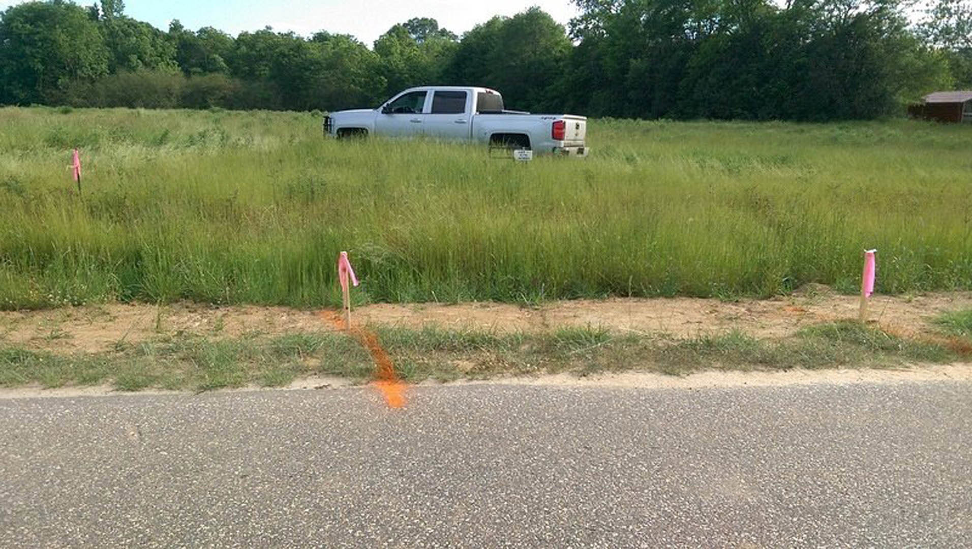 White pickup truck parked in tall grassy field near trees and road, surrounded by green vegetation