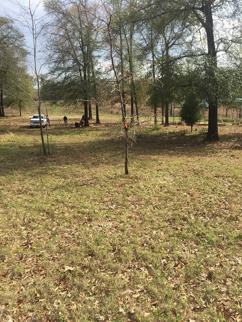 Grassy field bordered by leafy trees, white truck parked near treeline, blue sky overhead
