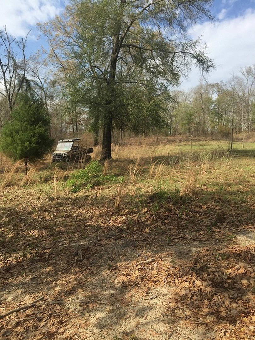 White pickup truck parked on a grassy field with scattered leaves, surrounded by tall green trees and cloudy sky in a rural landscape