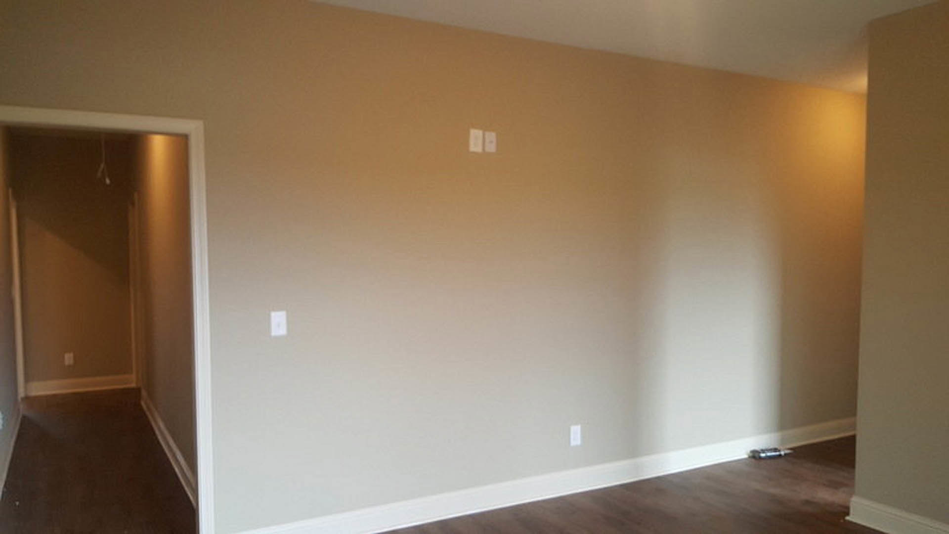 Wood floor with natural grain, white plaster wall featuring multiple light switches, hallway with ceiling light fixture, partially visible door.