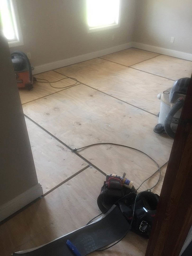 Sunlit room featuring wood flooring, white plaster walls, and a large window with bright natural light streaming in