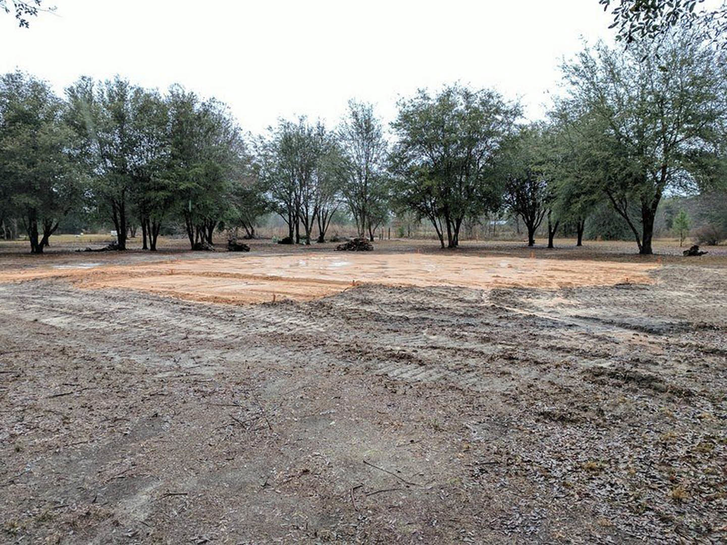 Dirt field with patches of grass, mature trees with leafy branches in the background, open sky above, natural soil and land lot foreground