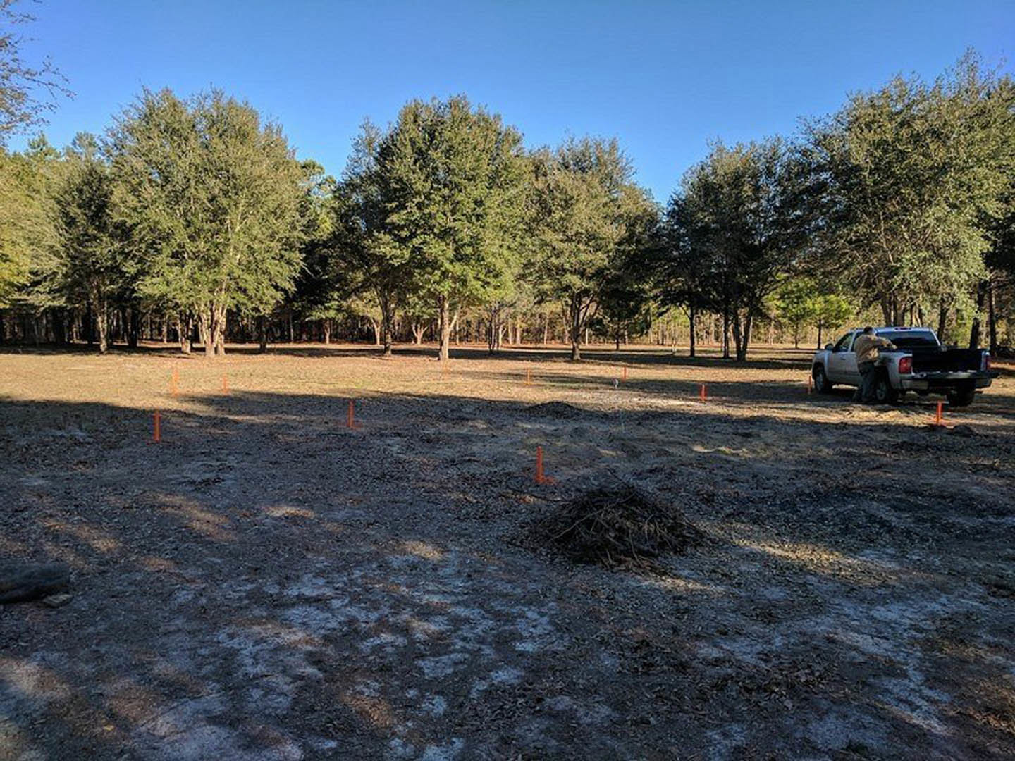 Grassy field bordered by mature trees, pickup truck parked near a pile of sticks, person in brown jacket standing beside vehicle under open sky