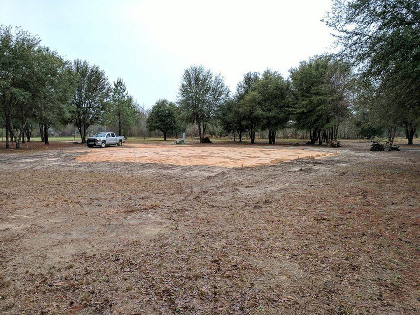 Silver pickup truck parked on a dirt lot with scattered grass, surrounded by mature trees under a clear sky