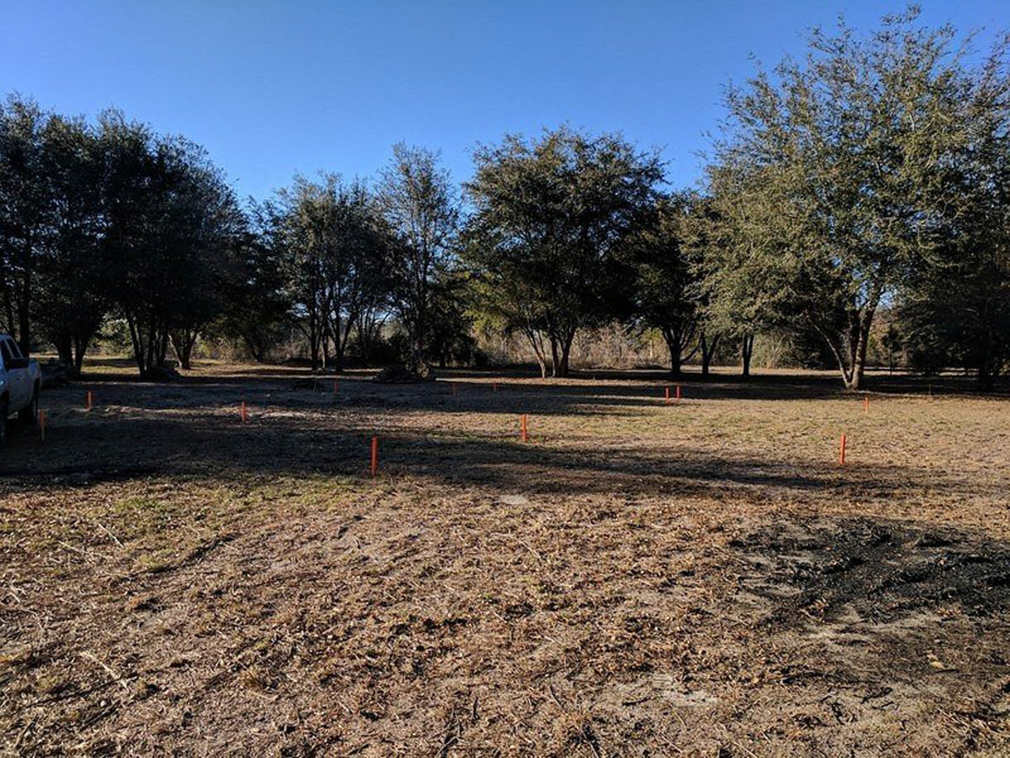 Grassy field with scattered orange poles, mature oak trees in background, open sky above