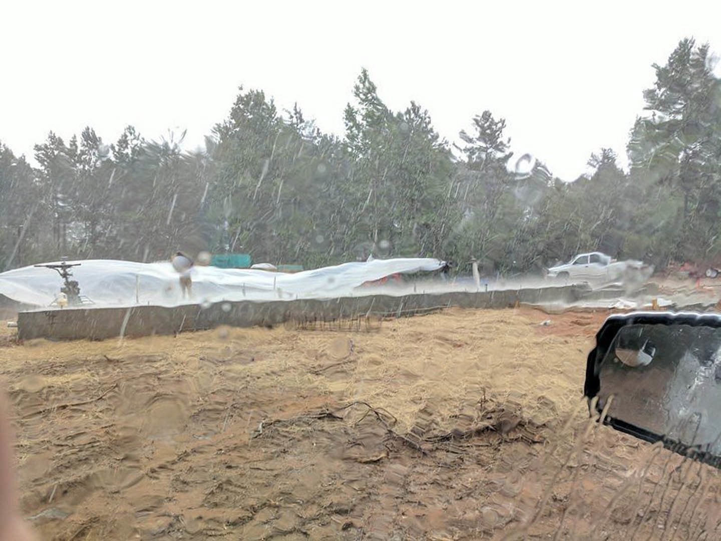 Modern home exterior with wet driveway, rain-soaked soil, tire tracks, and surrounding trees under cloudy sky