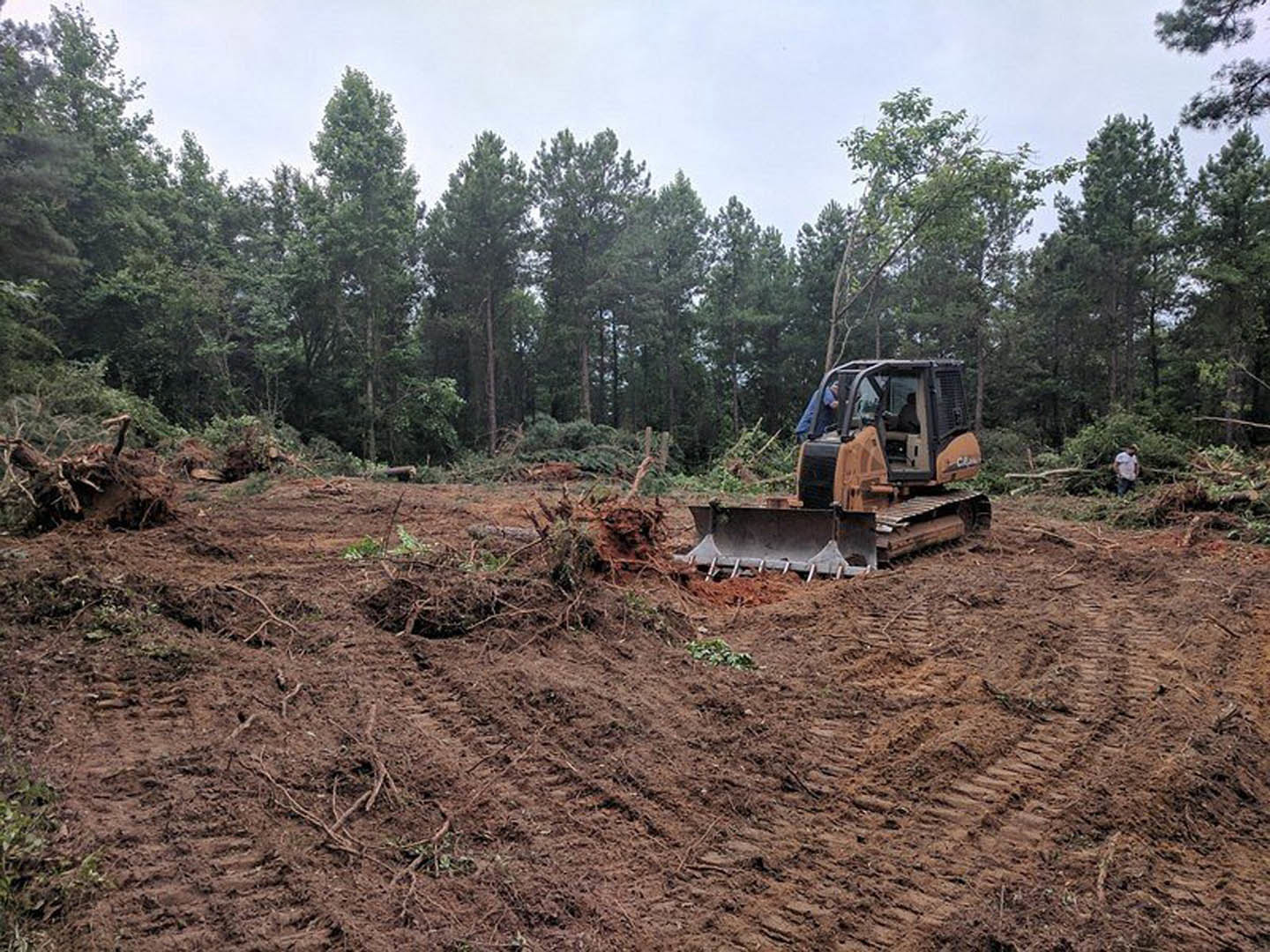 Bulldozer grading dirt lot surrounded by trees and plants under open sky