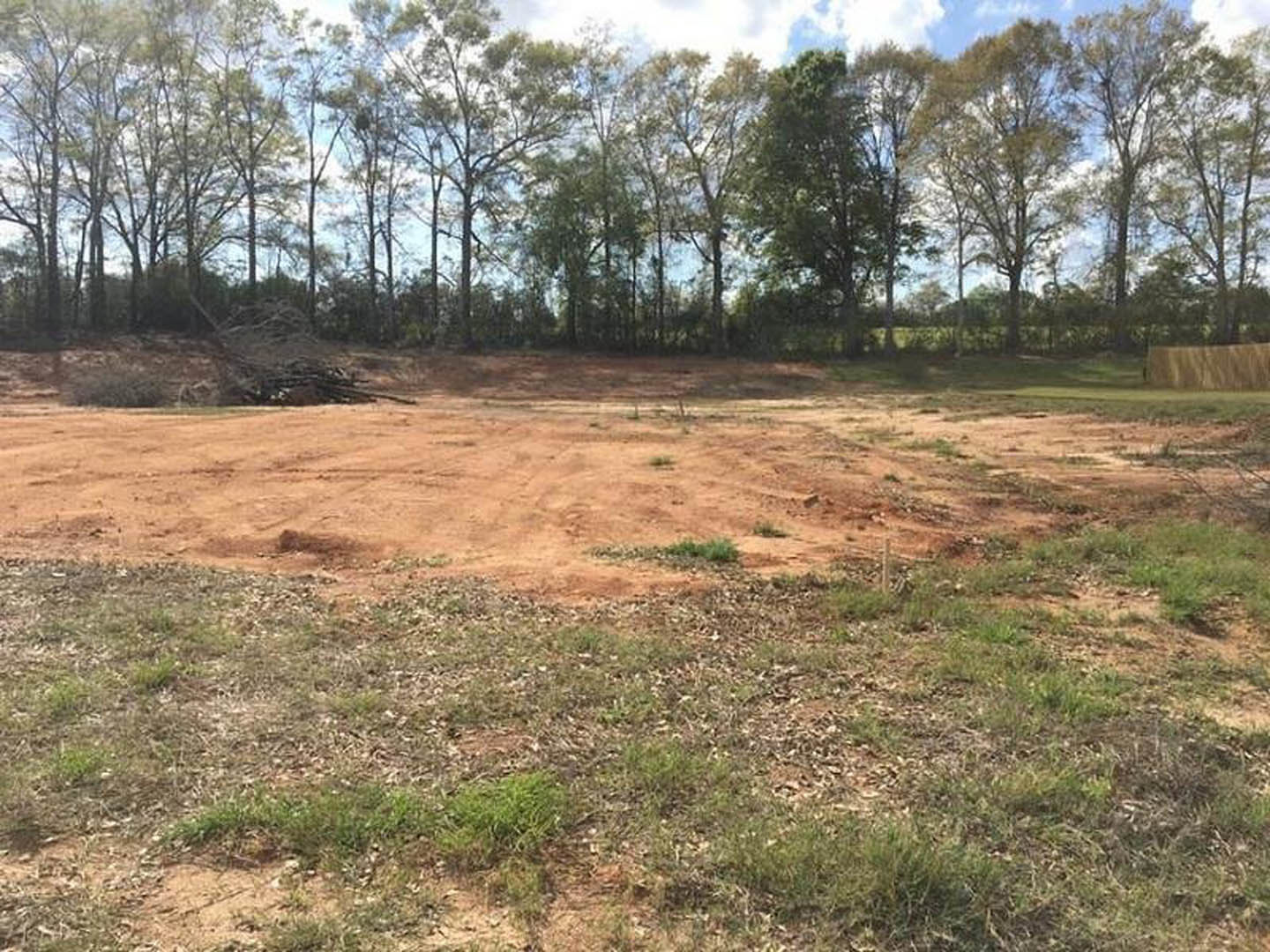 Dirt field with sparse grass, bordered by a cluster of trees under an open sky
