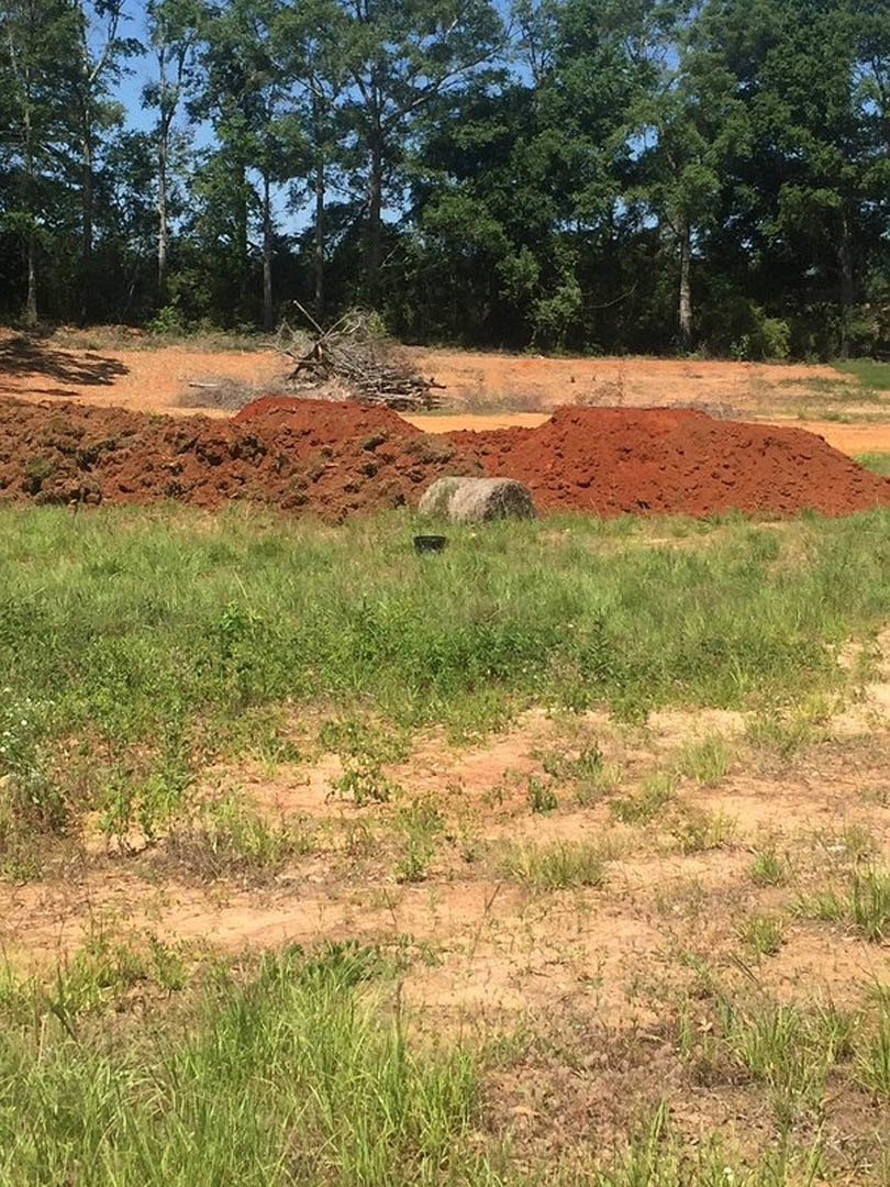 Grassy field with patches of exposed soil, scattered rocks, and a large round hay bale; trees line the background under a partly cloudy sky.