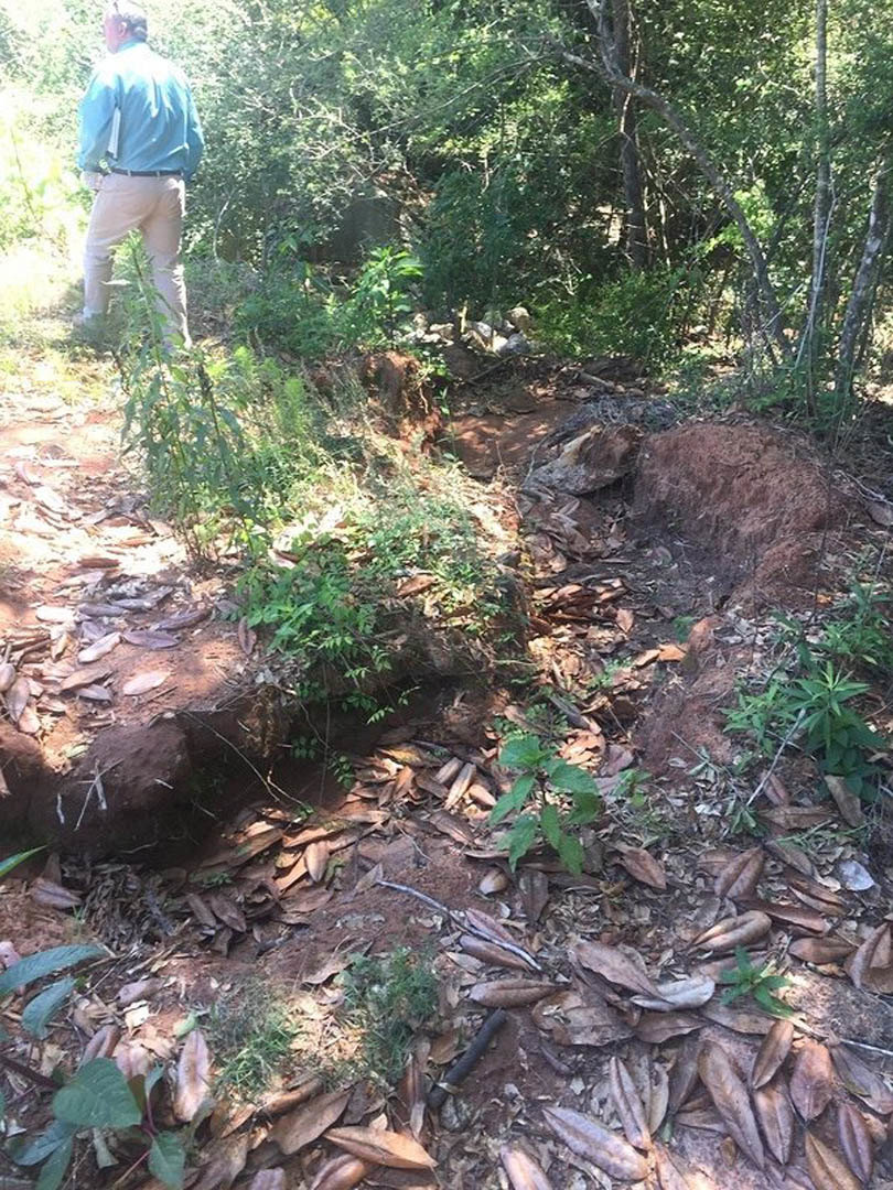 Man in blue shirt and white pants standing on leaf-covered dirt path surrounded by tall trees, rocks, and dense woodland vegetation