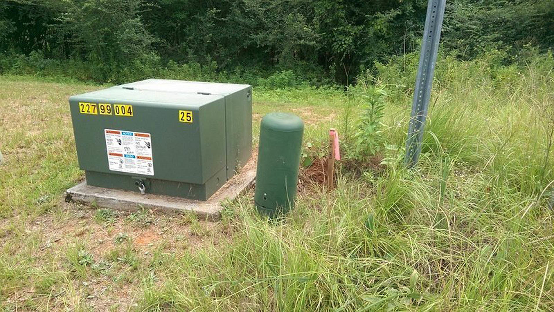 Green electrical utility box set in grassy yard near trees and plants