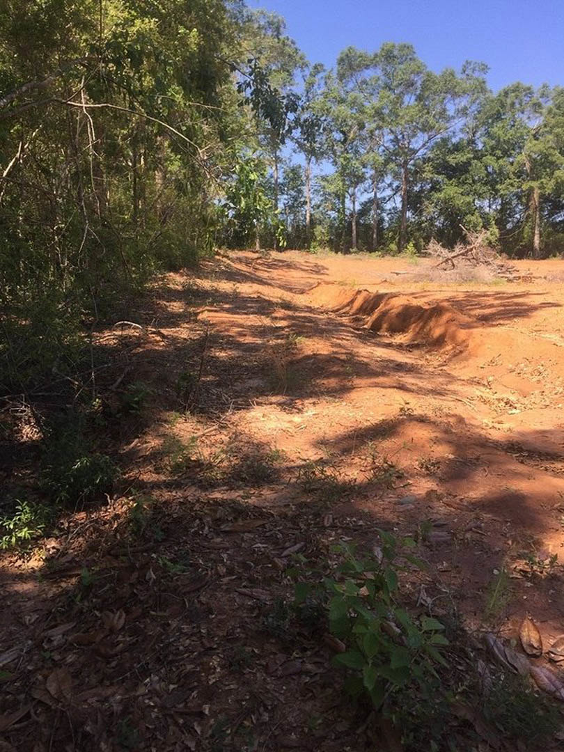 Dirt path bordered by grass and shrubs, leading toward a cluster of trees under an open sky
