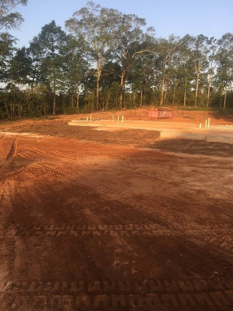 Dirt road bordered by trees under open sky, tire tracks visible in soil, dense foliage in background