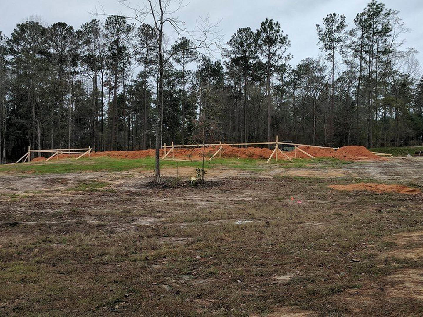 Dirt field bordered by mature trees under a partly cloudy sky