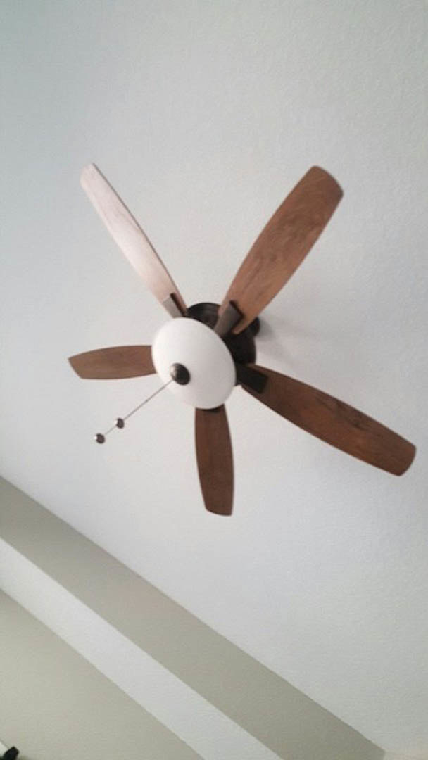 Ceiling fan with integrated light fixture mounted on white ceiling in residential living space