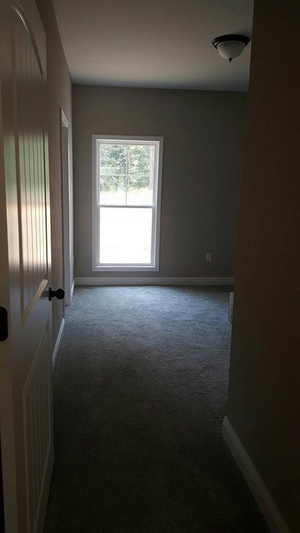 Dark carpeted hallway with white-framed window, soft daylight illuminating plaster walls, close-up of door and light fixture visible.