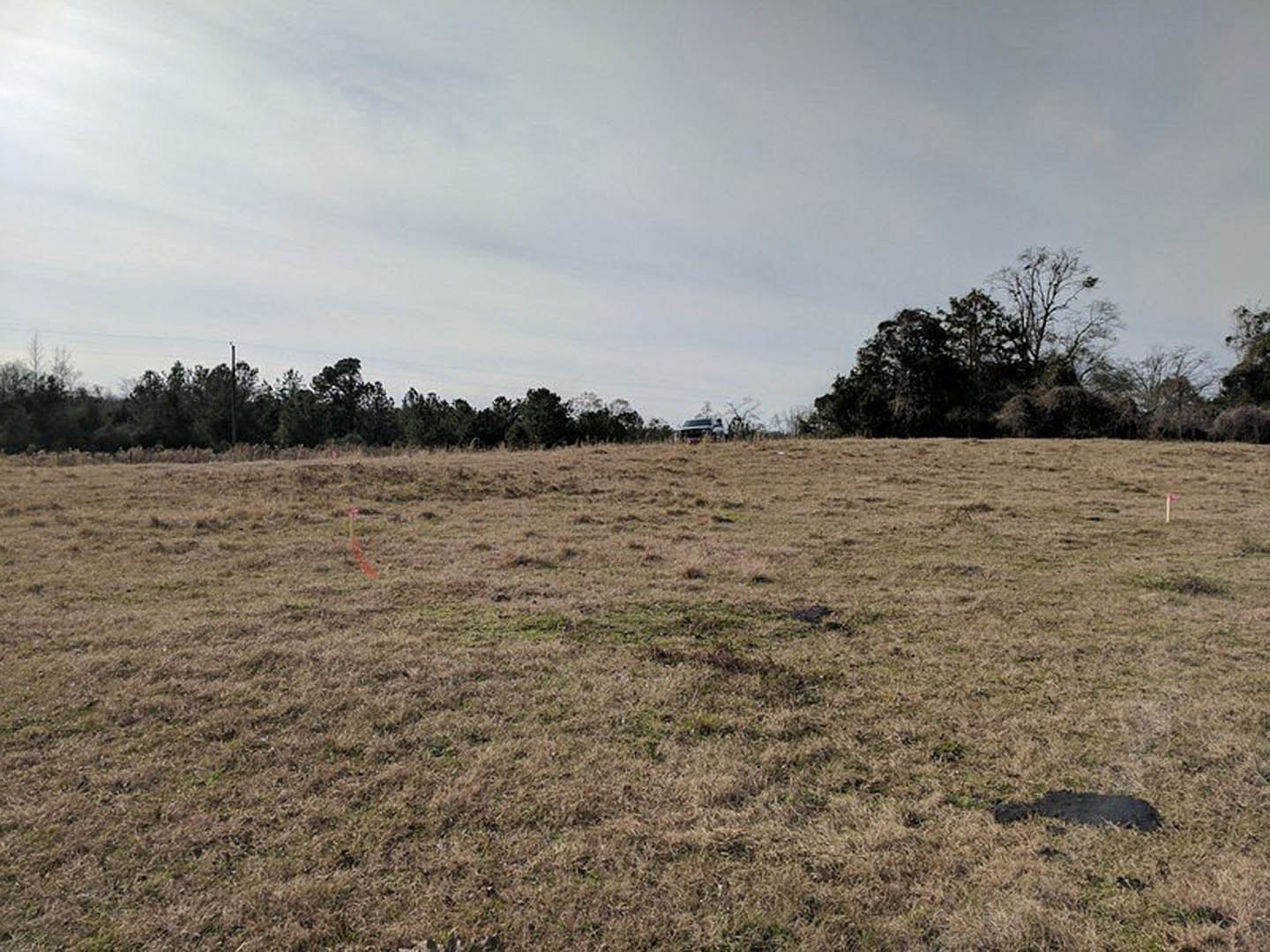 Expansive grassy field bordered by dense trees under a cloudy sky, person standing in foreground with visible shadow on ground