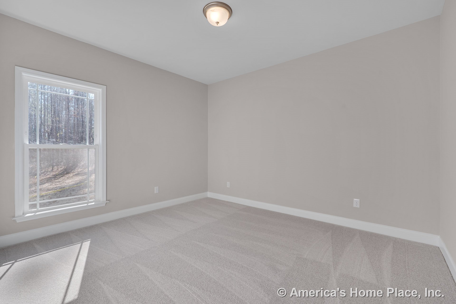 Bedroom with light beige carpet, neutral wall paint, white trim and baseboards, large double-hung window allowing natural light, and flush mount ceiling fixture.