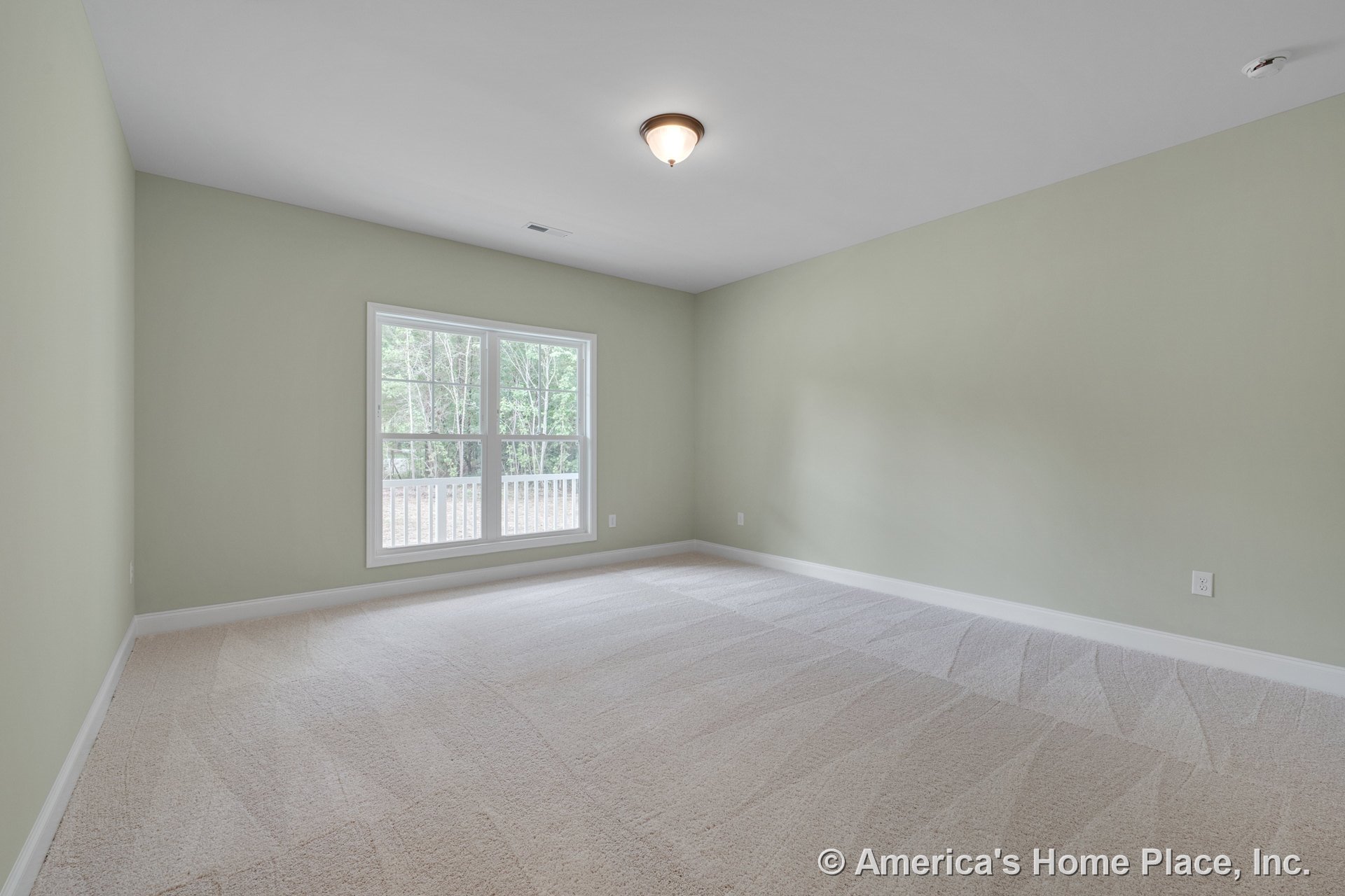 Light green painted bedroom with large double window, beige carpet flooring, white baseboard trim, flush mount ceiling light, and rectangular room layout.