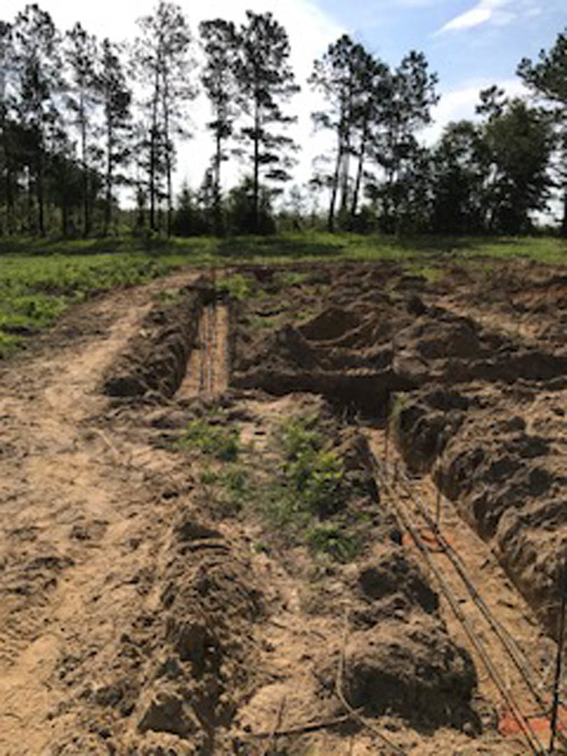 Dirt field bordered by tall trees under a partly cloudy sky
