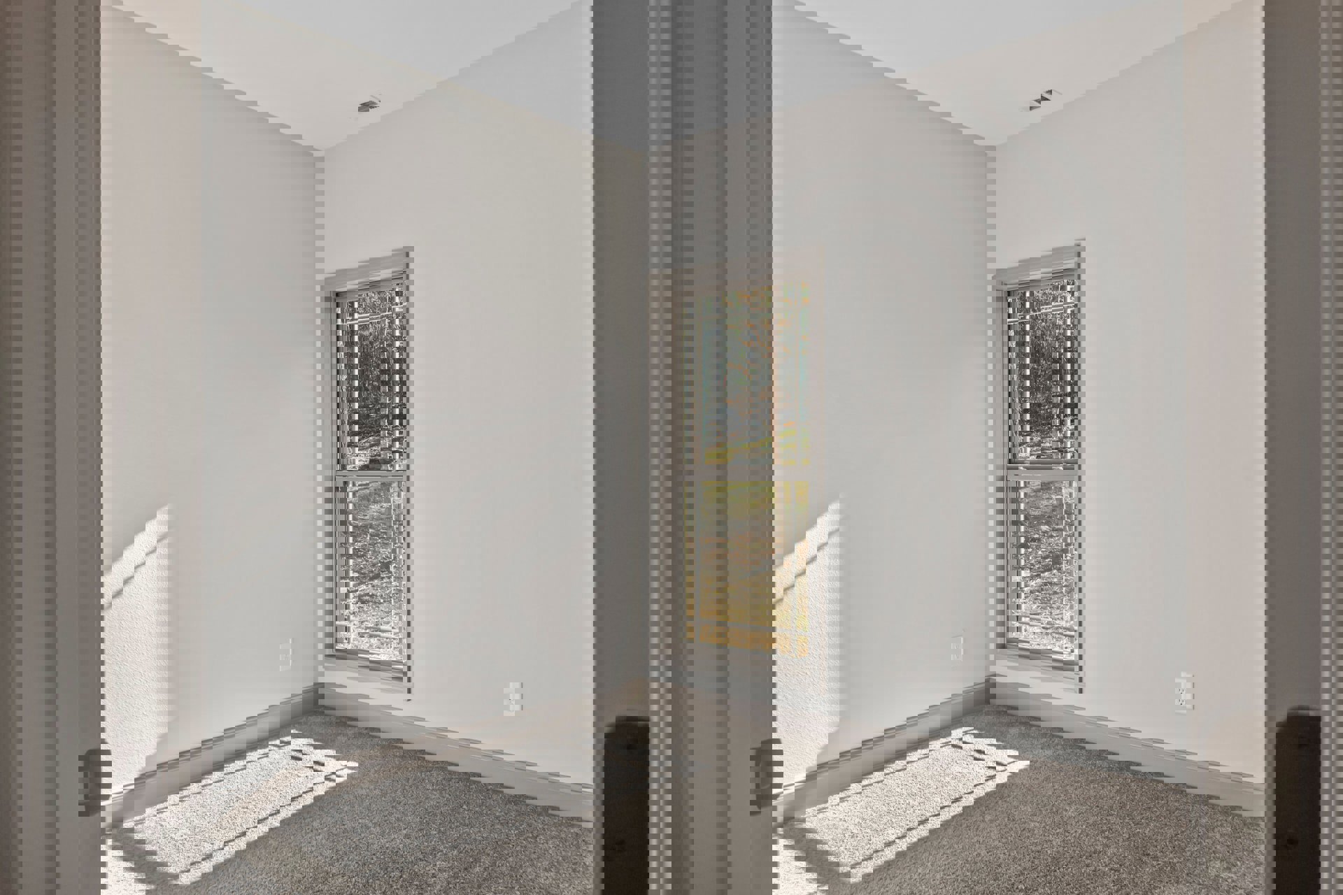 Carpeted bedroom with white walls, large window framed in white, sunlight streaming in, forest view outside