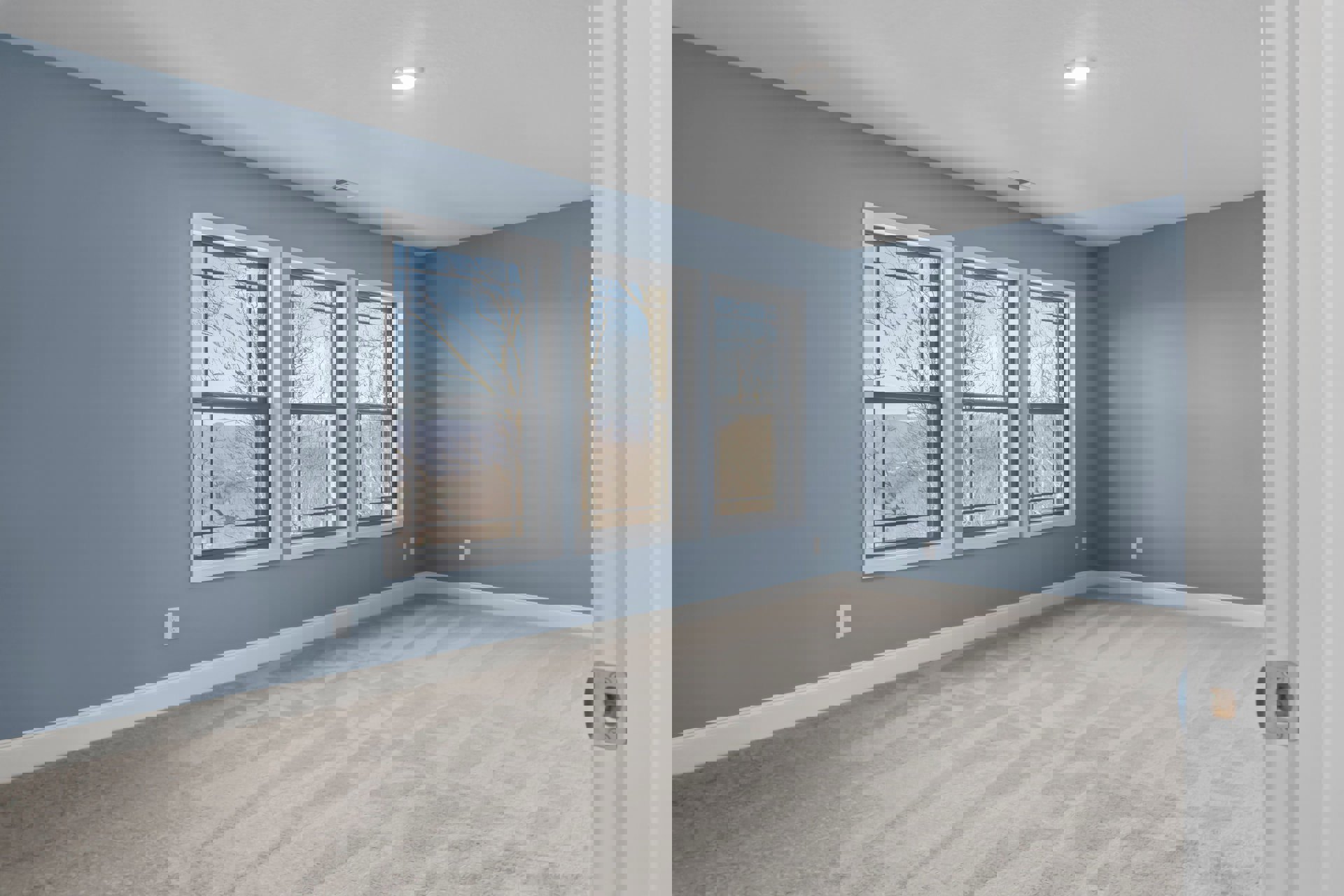 Blue walls with white trim and plush white carpet, row of windows overlooking leafy trees, natural light filling the room