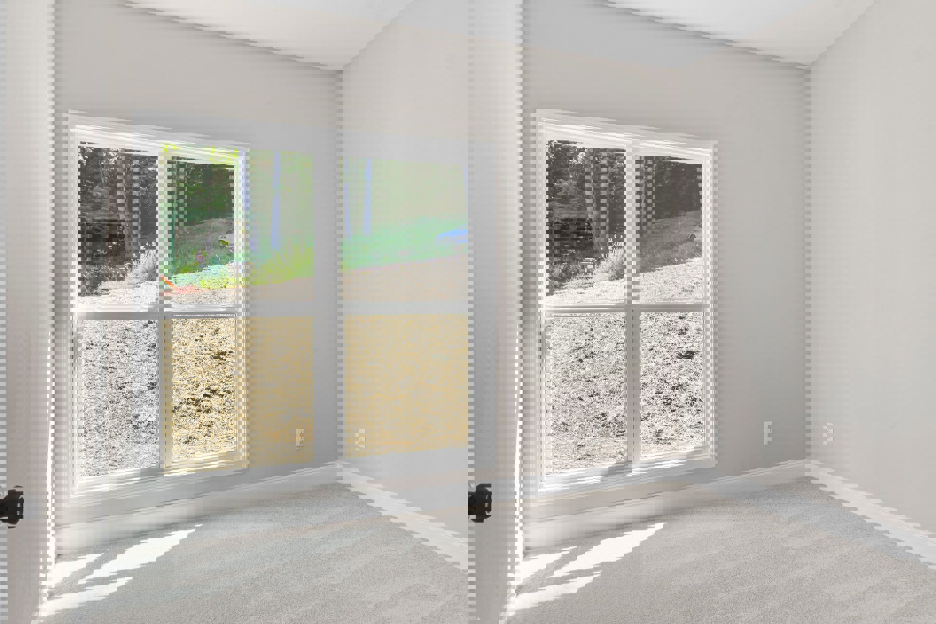 Carpeted bedroom with large window overlooking grassy yard and trees, white walls, and window blinds