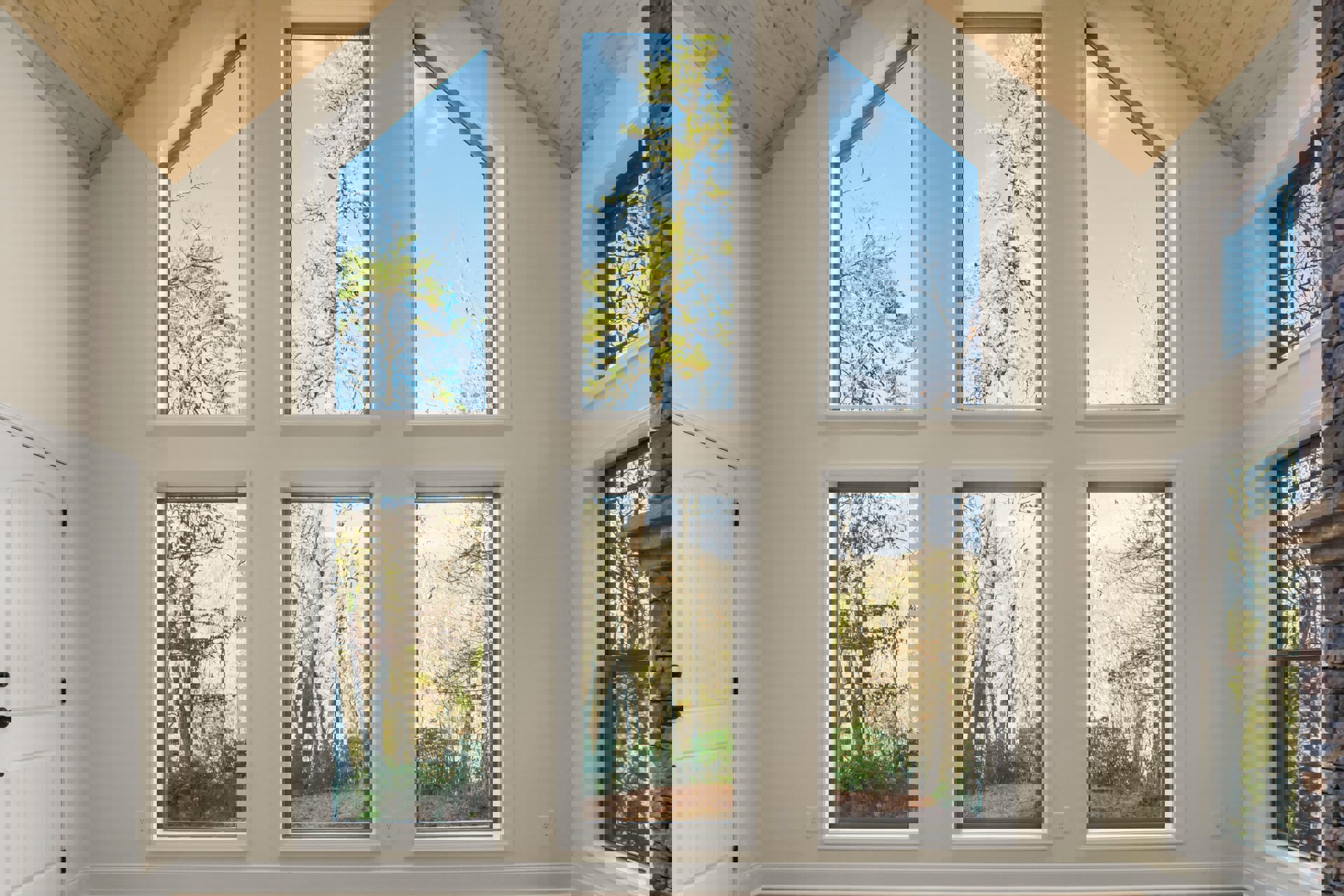 Spacious room featuring multiple large windows with views of leafy green trees, white walls, a white door with black knobs, and abundant natural daylight.