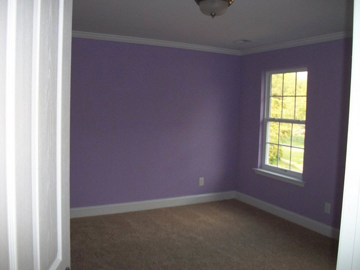 Purple-walled room with matching carpet, large window overlooking trees, white trim and molding, ceiling light fixture