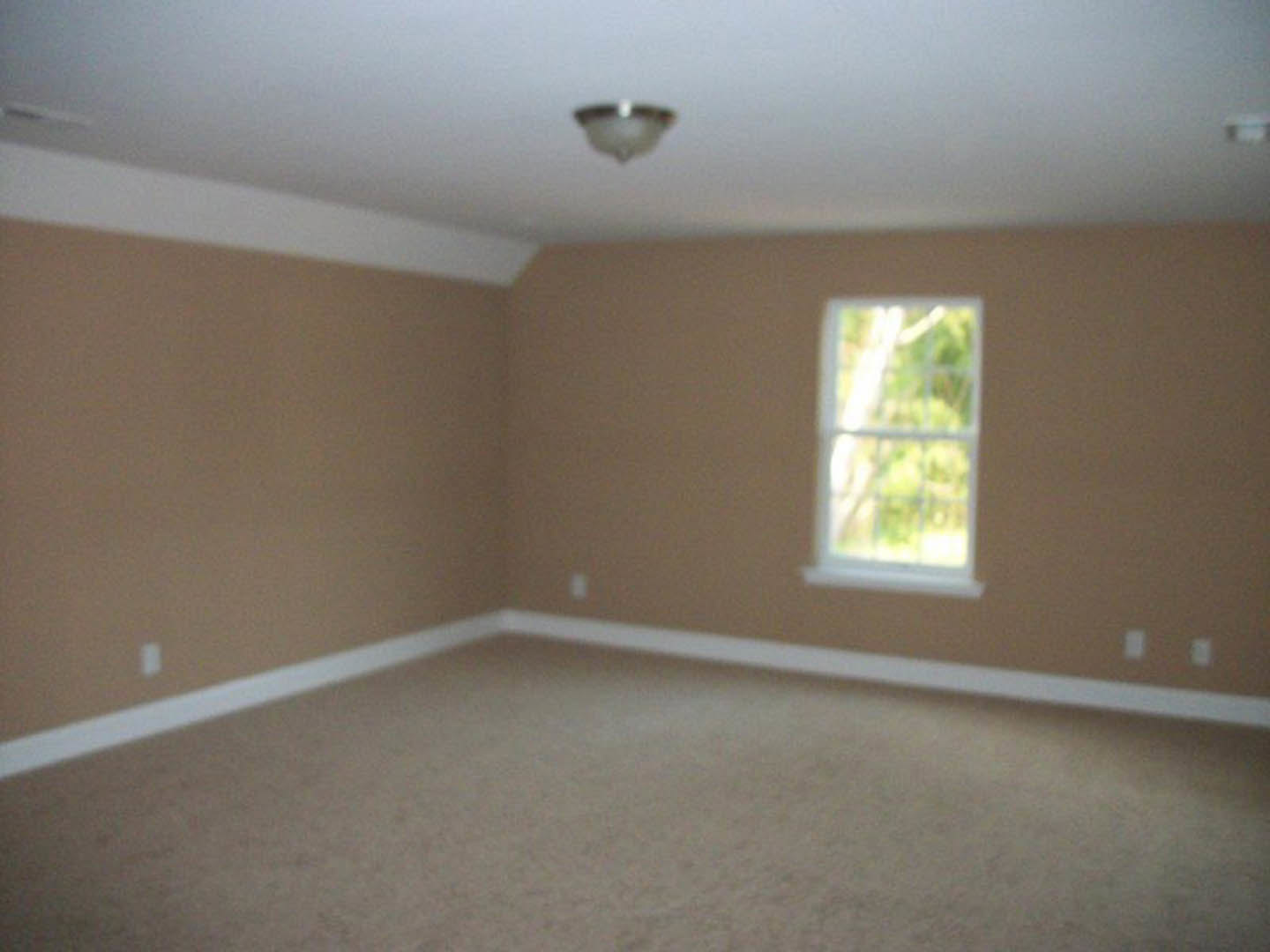 Neutral-toned room with textured carpet flooring, plaster walls, ceiling-mounted light fixture, and a window showing blurred greenery outside