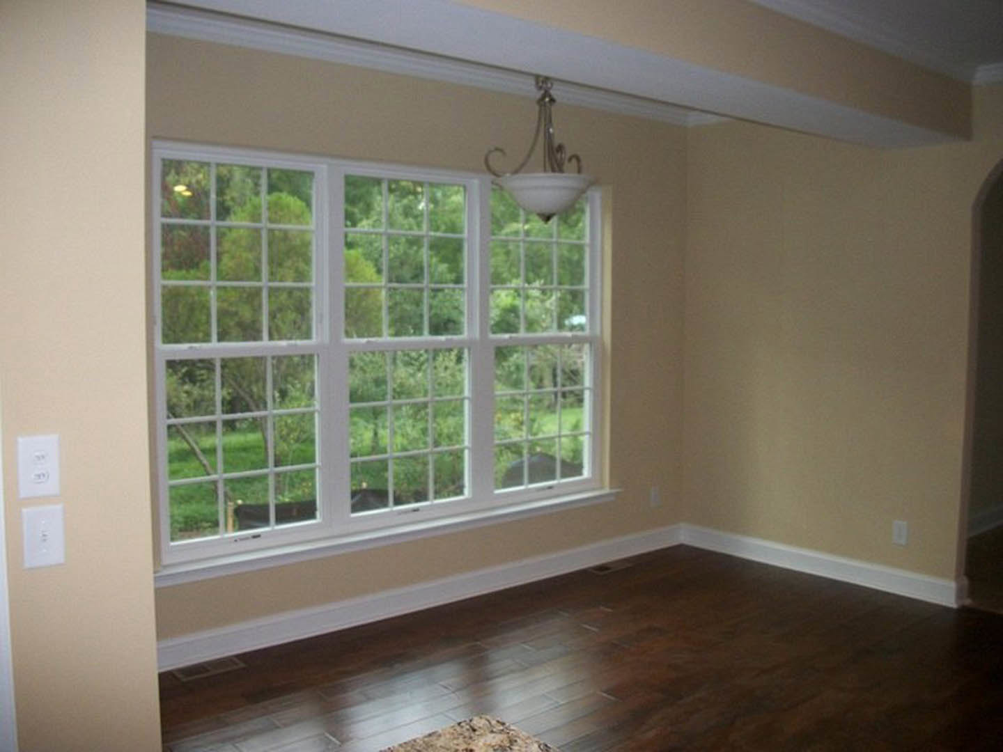 Spacious room featuring a large multi-pane window with white trim, hardwood flooring, white baseboards, and a modern light fixture; white wall outlet with black buttons visible on