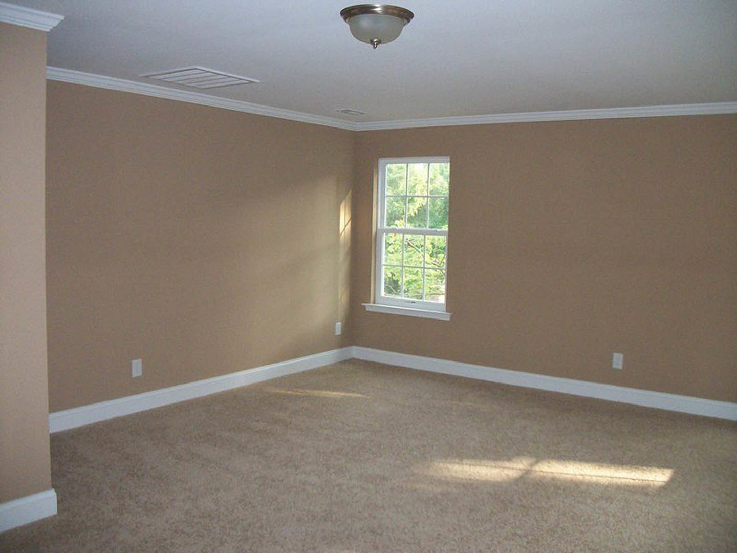 Carpeted room with white trim, large window overlooking trees, ceiling vent, and modern light fixture