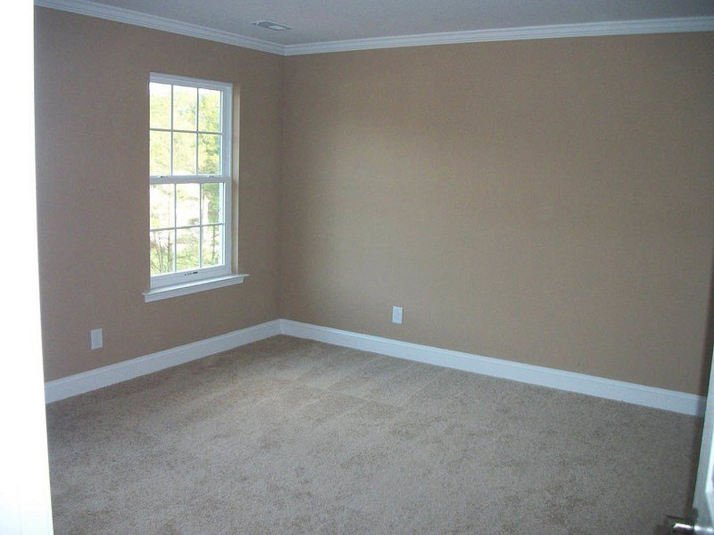 Beige carpeted room with white trim, multi-pane window, and light fixture on white wall