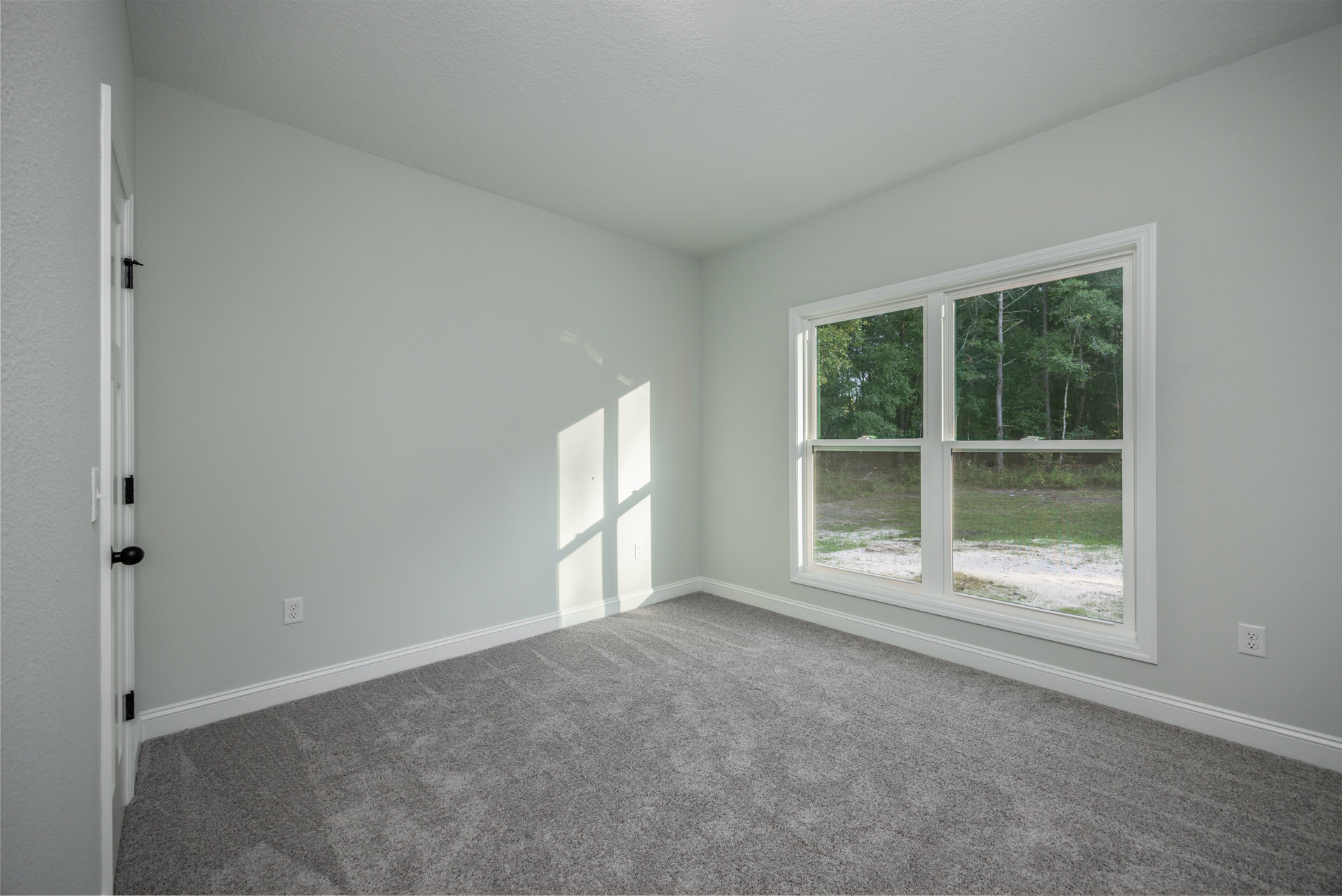 Sunlit room with white walls, large window overlooking trees, and soft grey carpet flooring