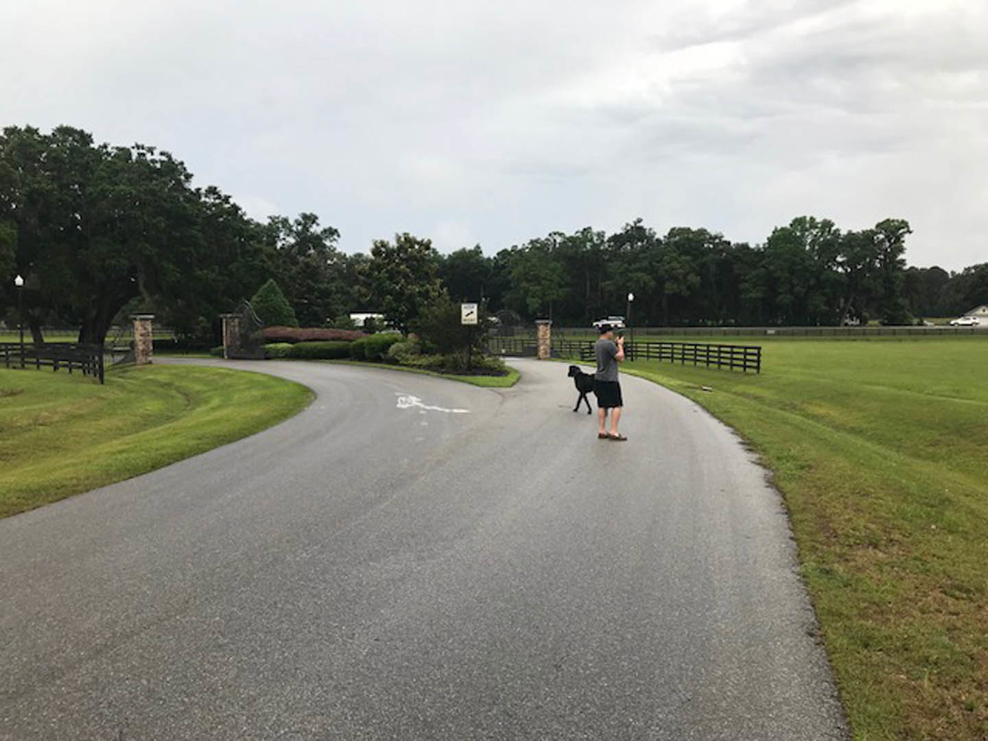 Asphalt road bordered by grass and trees under cloudy sky, man walking with dog