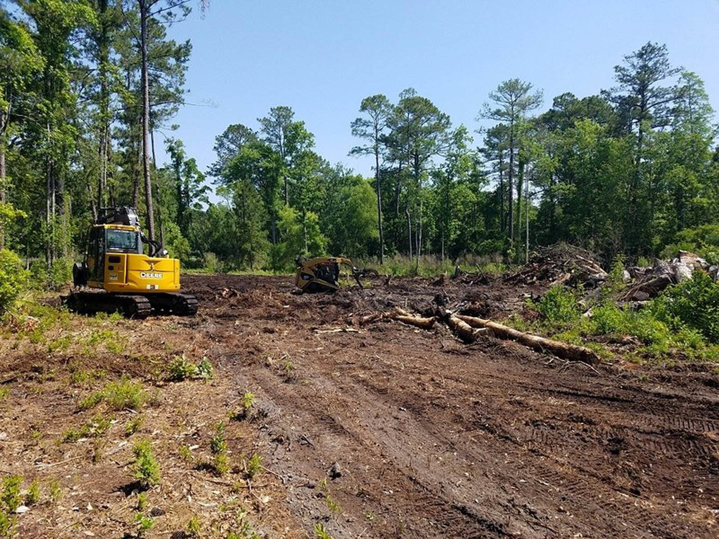 Yellow construction tractor parked on dirt clearing surrounded by tall leafy trees in a forest