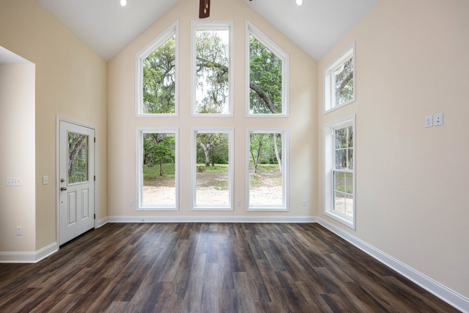 Spacious room featuring multiple large windows, hardwood flooring with white baseboards, white door with glass insert, close-up of wall outlet, moss-covered tree branch visible