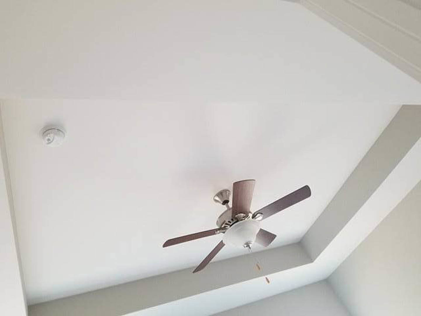 Ceiling fan with brushed metal blades and integrated light fixture mounted on smooth white ceiling