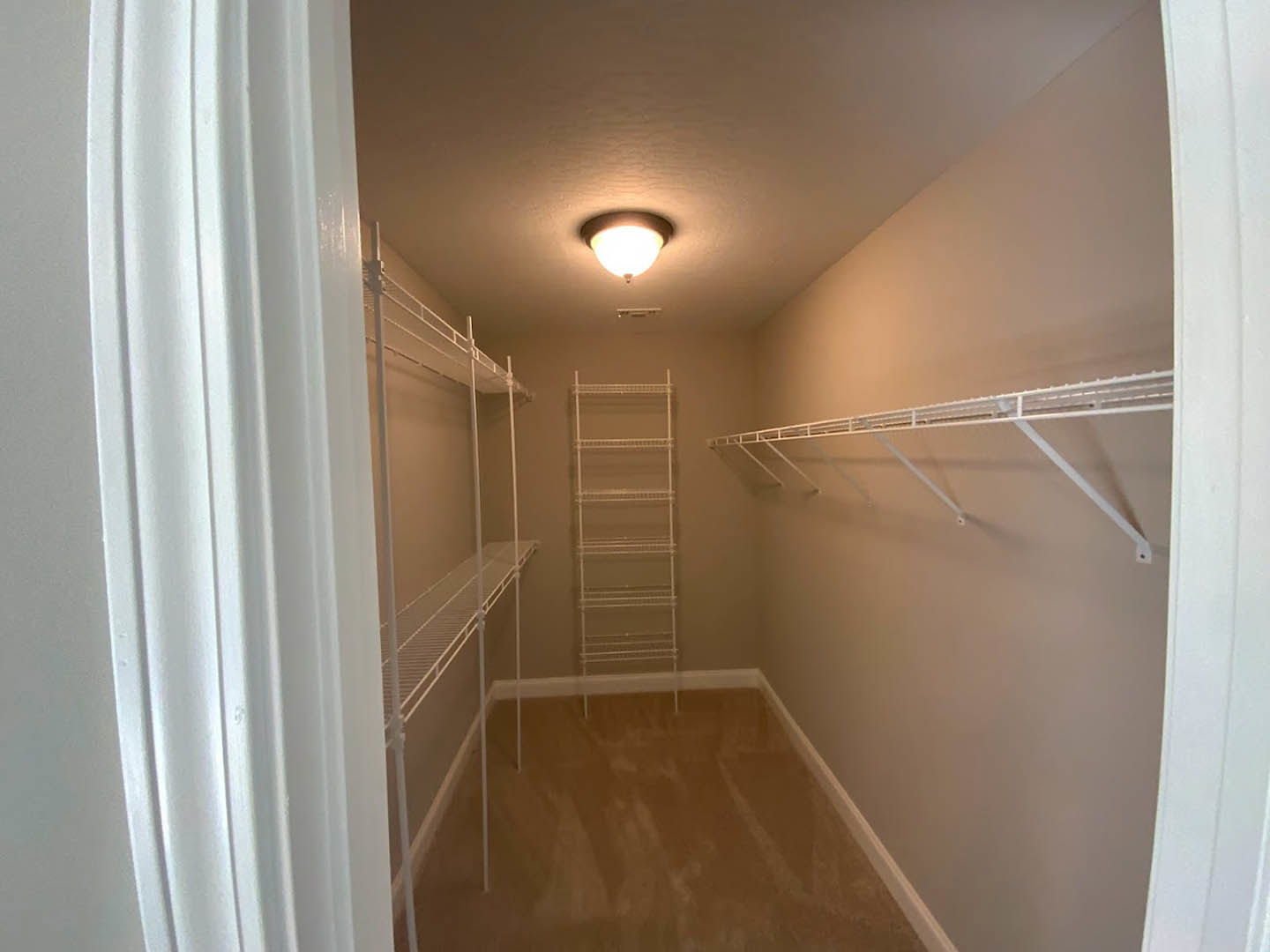 Walk-in closet with white shelving, ceiling light fixture, brown flooring, and white trim