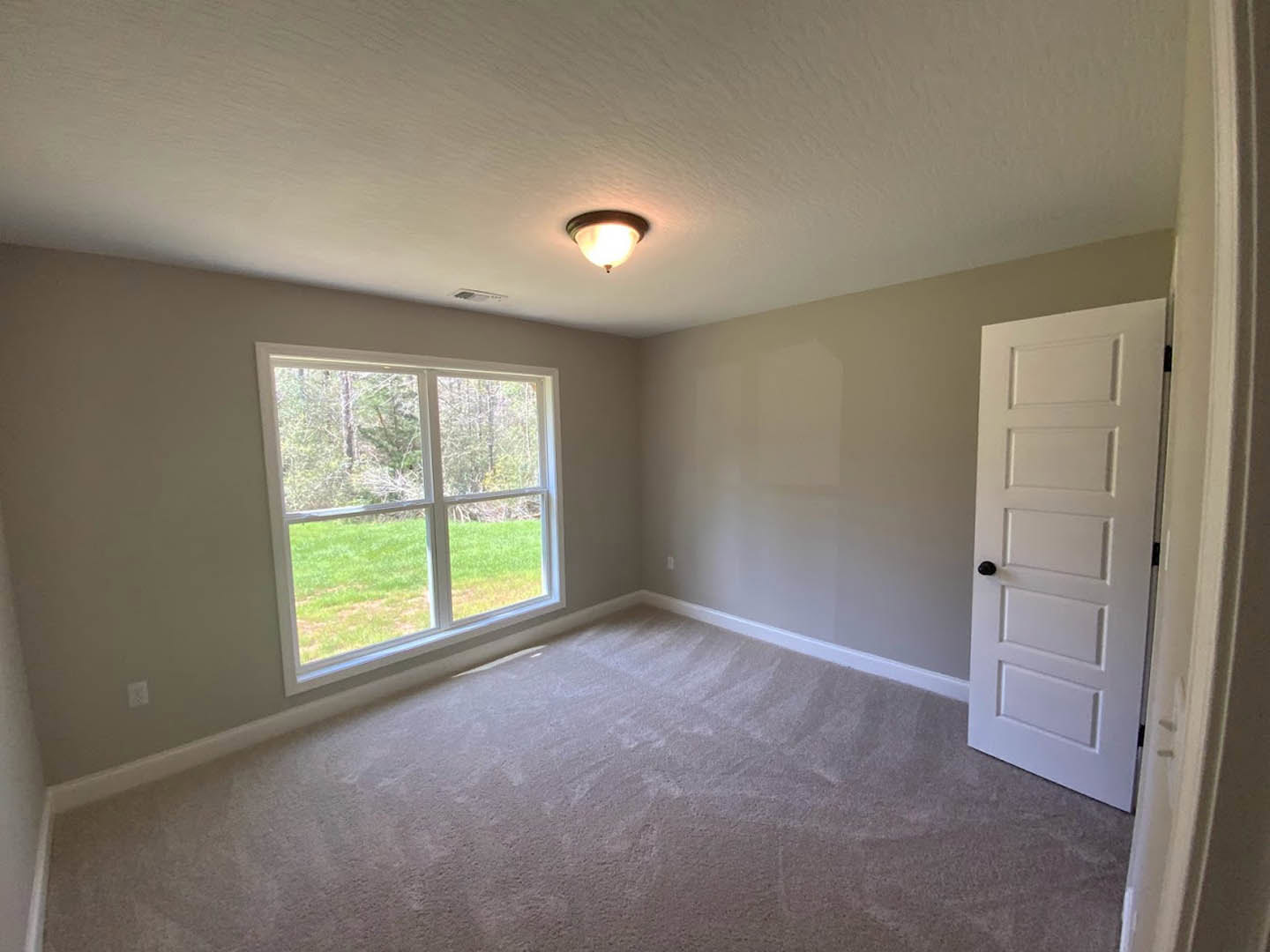 White door with black handle, large window overlooking green grass, neutral carpet flooring, white plaster walls, ceiling light fixture