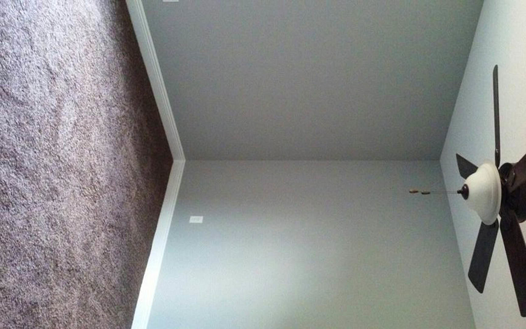 Carpeted room with white walls, ceiling fan with light fixture, white door, and a cat sitting near the doorway.