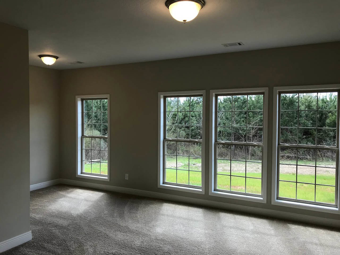 Carpeted room with large windows, white walls, ceiling light fixture, and view of green trees outside