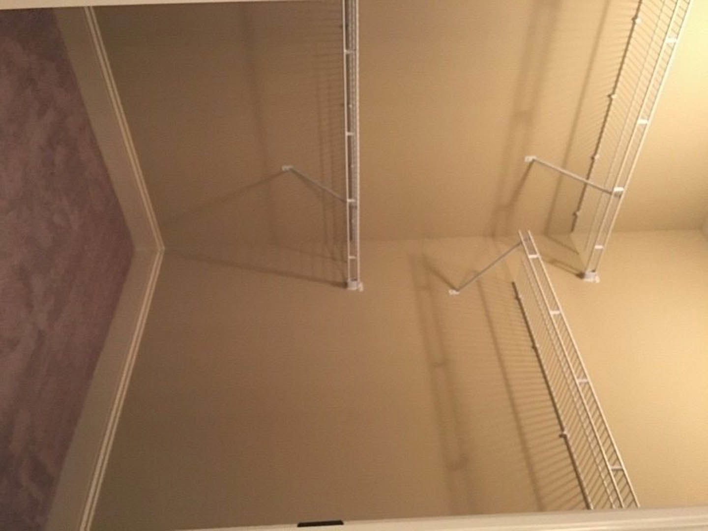 Walk-in closet with built-in white shelves, carpeted floor, and smooth plaster walls