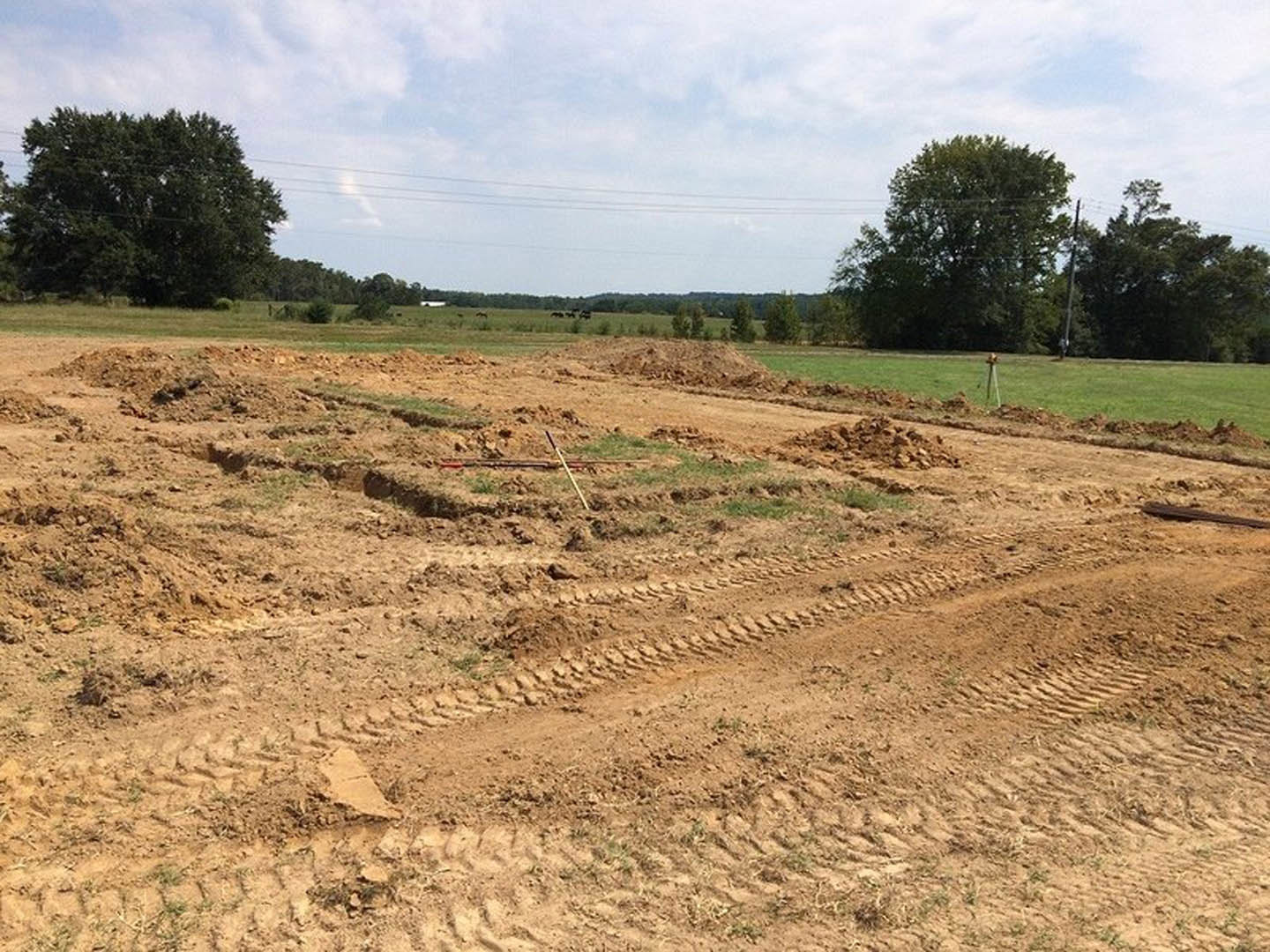 Dirt field with tire tracks, large leafy tree, scattered rocks and sticks, blue sky with clouds