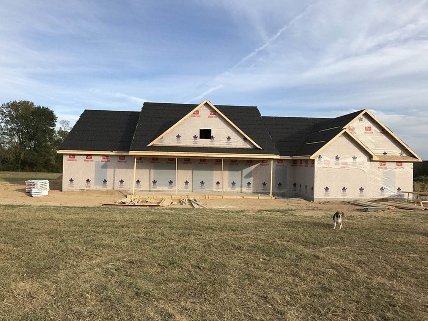 Dog standing on grassy field in front of partially built house with black roof, exposed framing, and construction materials stacked nearby; leafy tree and wooden fence in