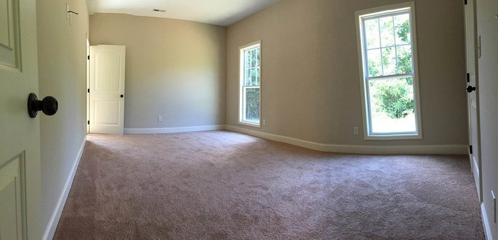 Bright room with two white-framed windows, pink carpet flooring, white walls, and a white door with black knobs; trees visible outside the windows.