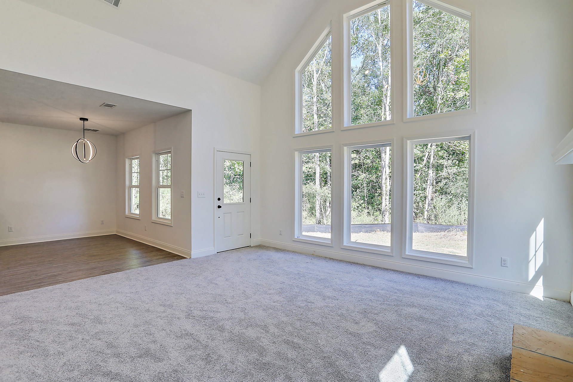 Spacious carpeted room featuring multiple large windows, white walls with molding, a white door with glass panel, ceiling light fixture, and wood plank flooring detail