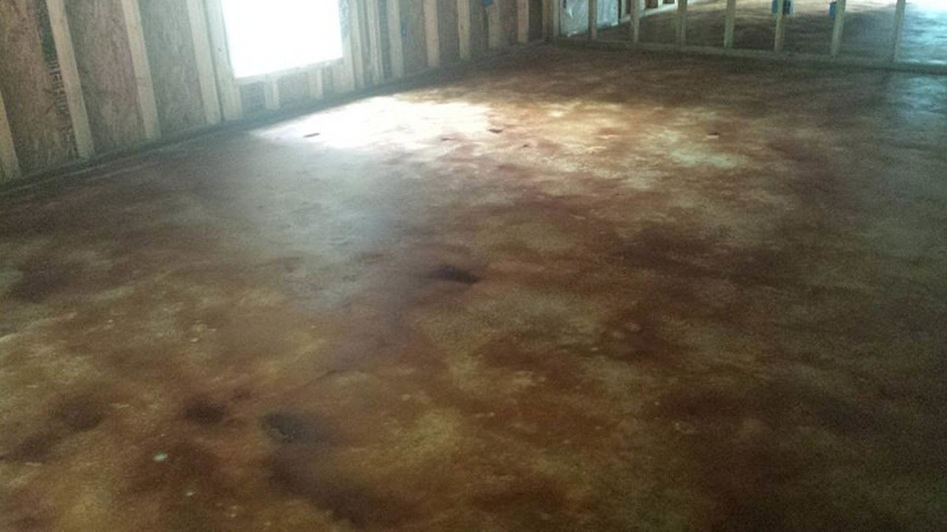 Sunlight streaming through a window onto hardwood flooring in a spacious room with neutral walls
