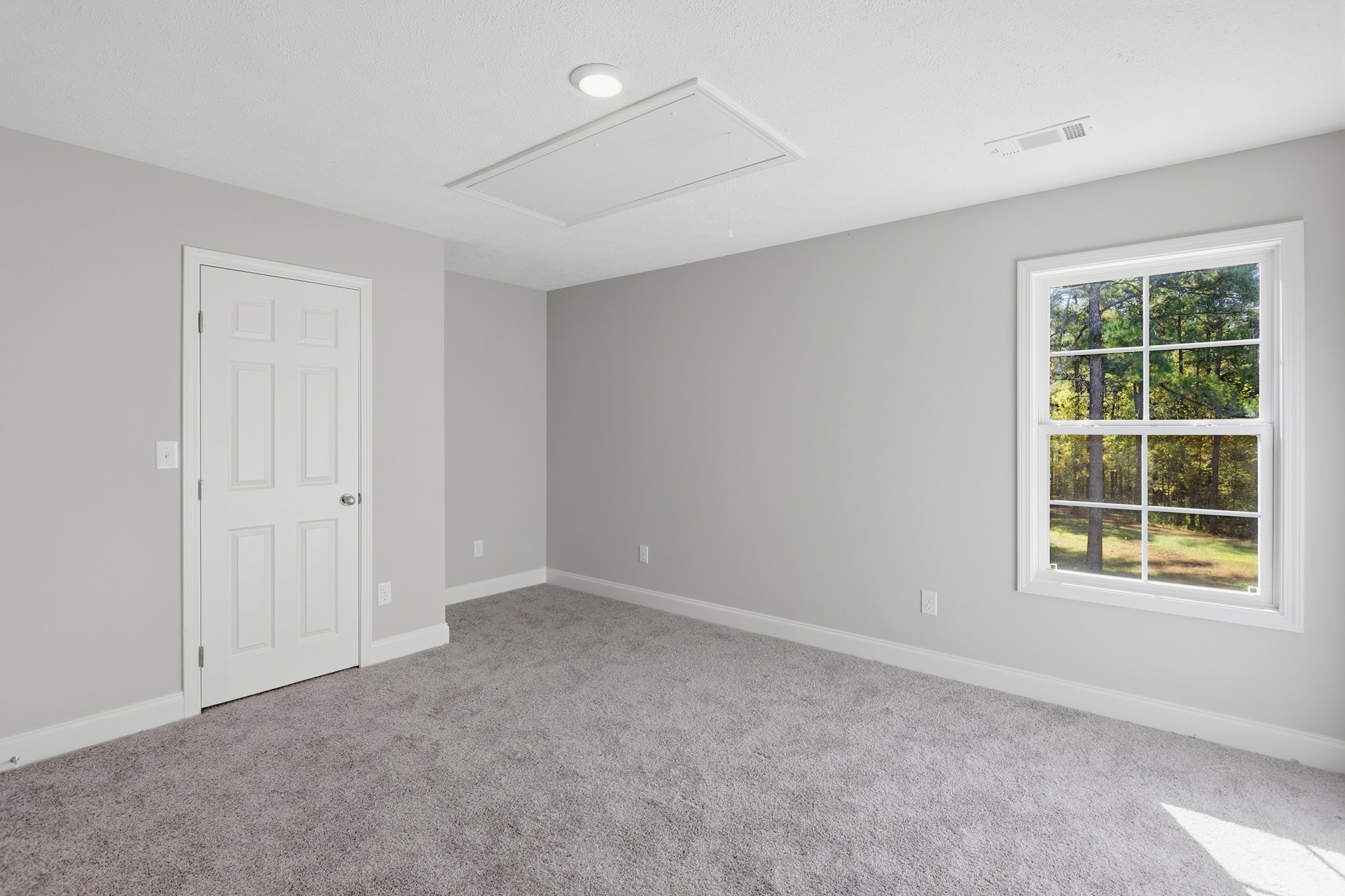White door with silver handle, large window showing green trees outside, beige carpeted floor, white plaster walls, white ceiling with recessed light fixture