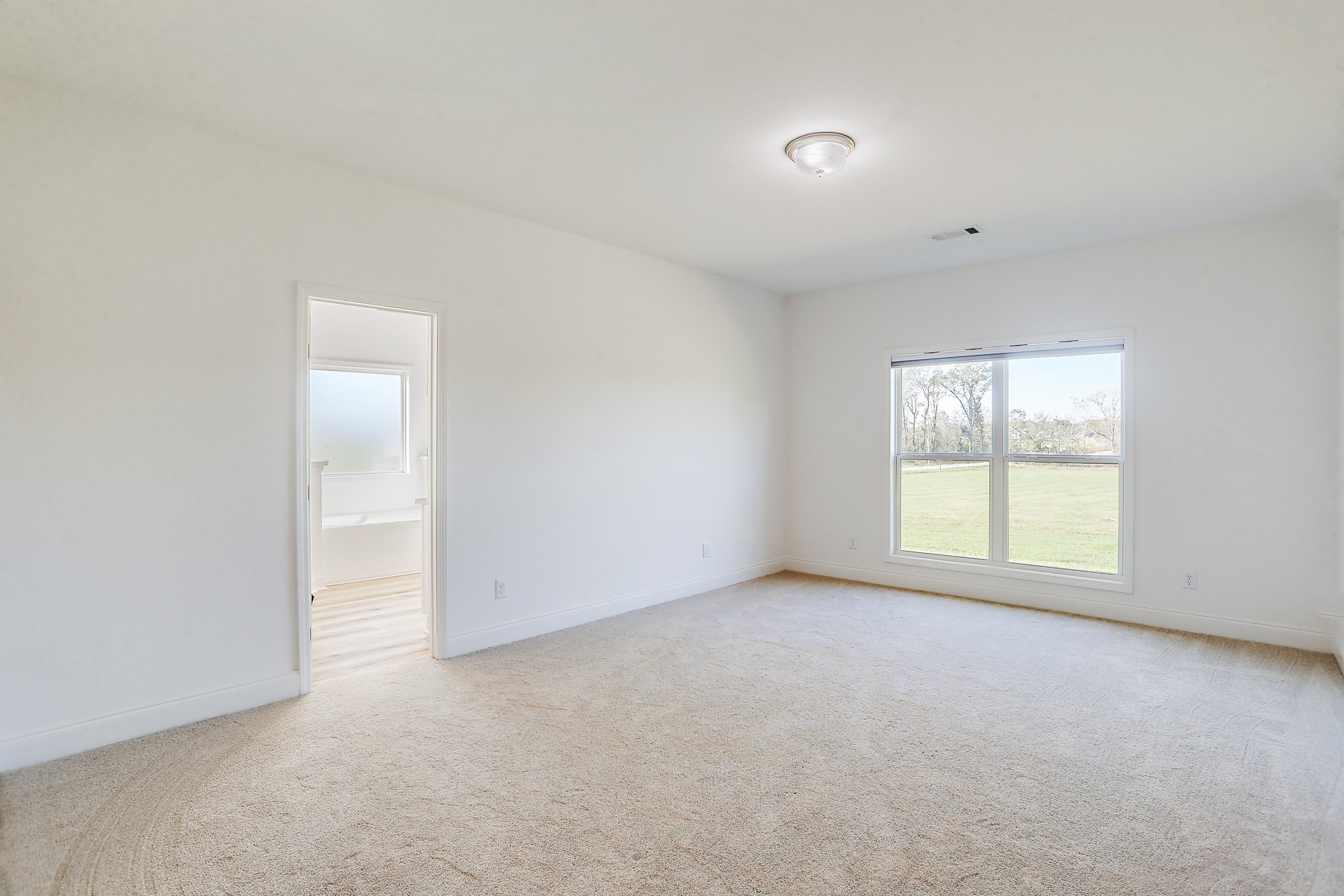 White carpeted room with white walls, large window overlooking green grass and trees, white door with frosted glass, modern ceiling light fixture